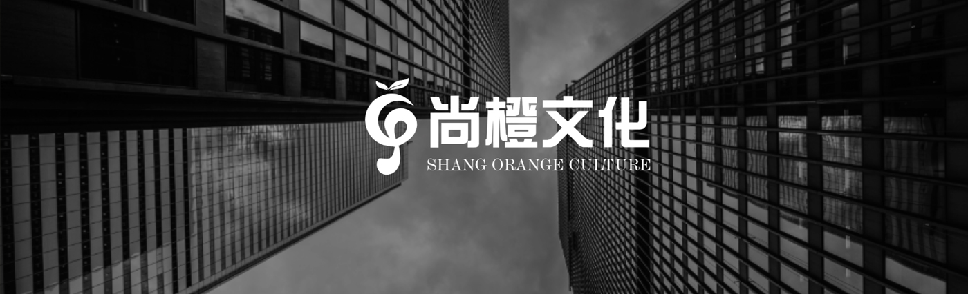 公司简介